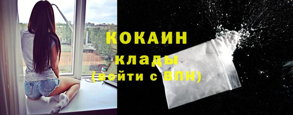 дмт Арсеньев