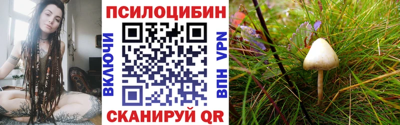 Псилоцибиновые грибы прущие грибы  Полысаево 